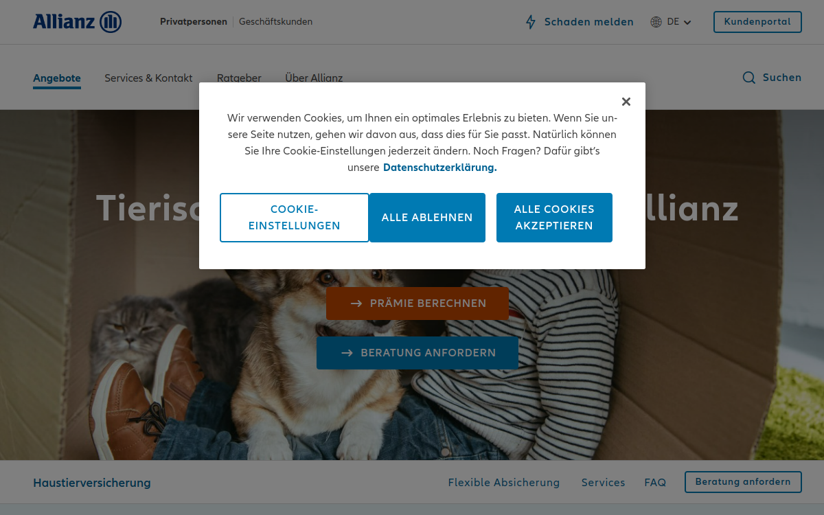 Haustierversicherung: Individueller Schutz für Hunde & Katzen